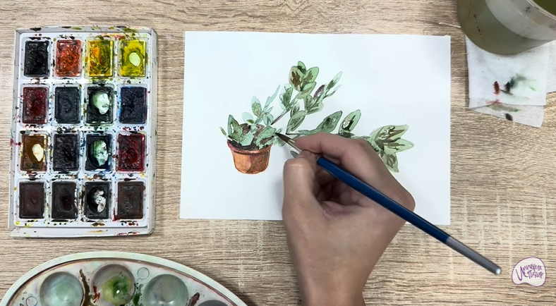 Рисуем Пеллиония в горшке