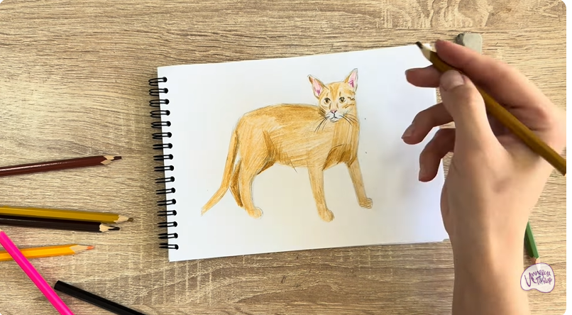 Рисуем Кот породы Оцикет