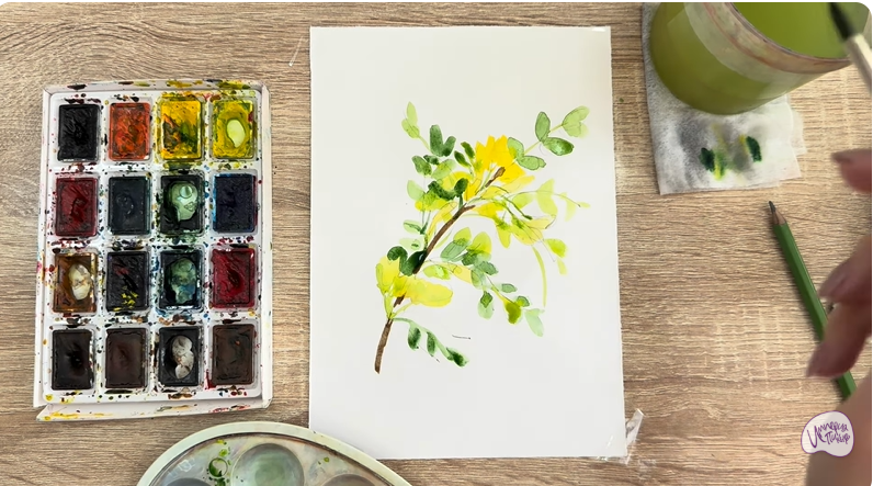 Рисуем Ветка караганы