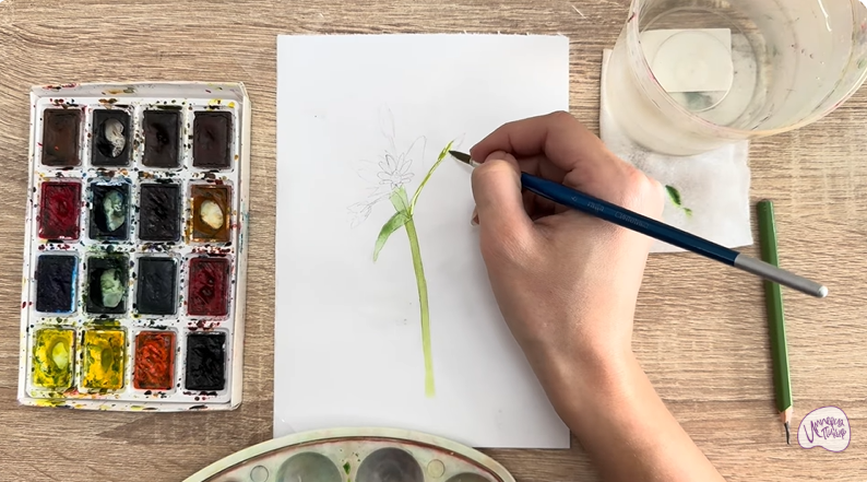 Рисуем Ясколка длинноволосая