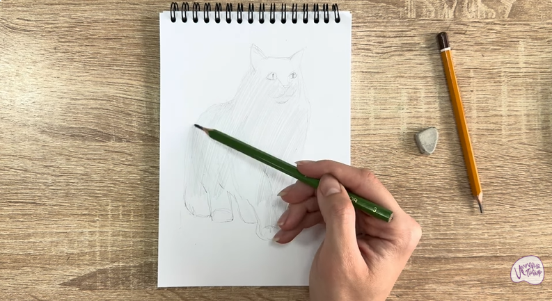 Рисуем Норвежский лесной кот