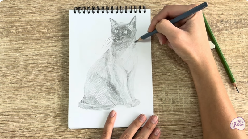 Рисуем Бурманский кот