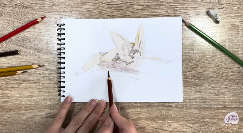 Рисуем Бурый ушан