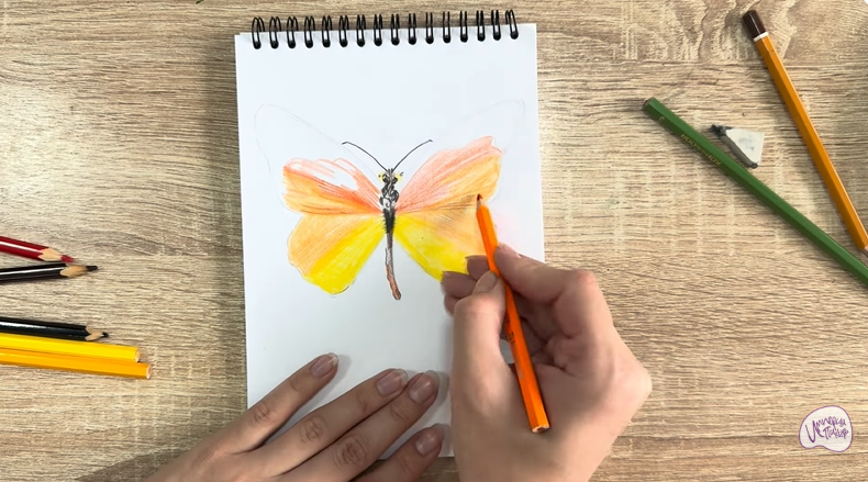 Рисуем Малинница обыкновенная