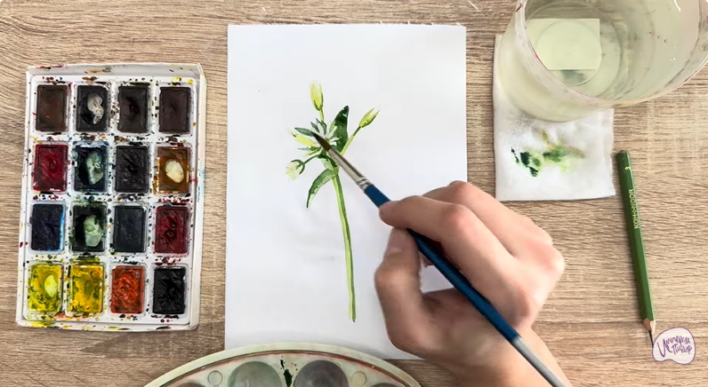 Рисуем Ясколка длинноволосая