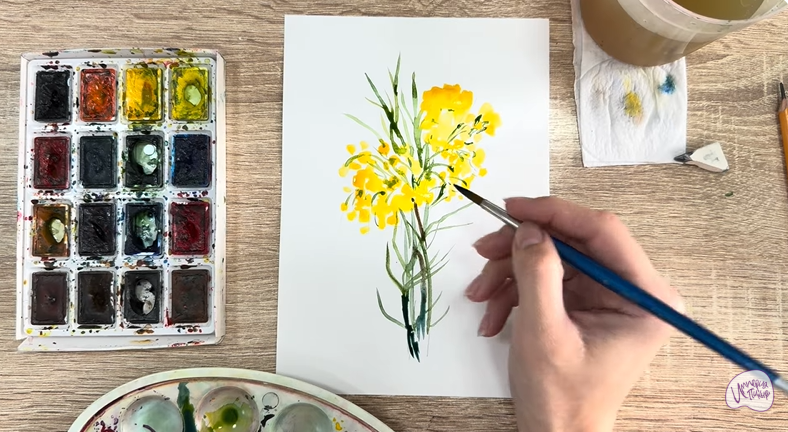 Рисуем Бессмертник