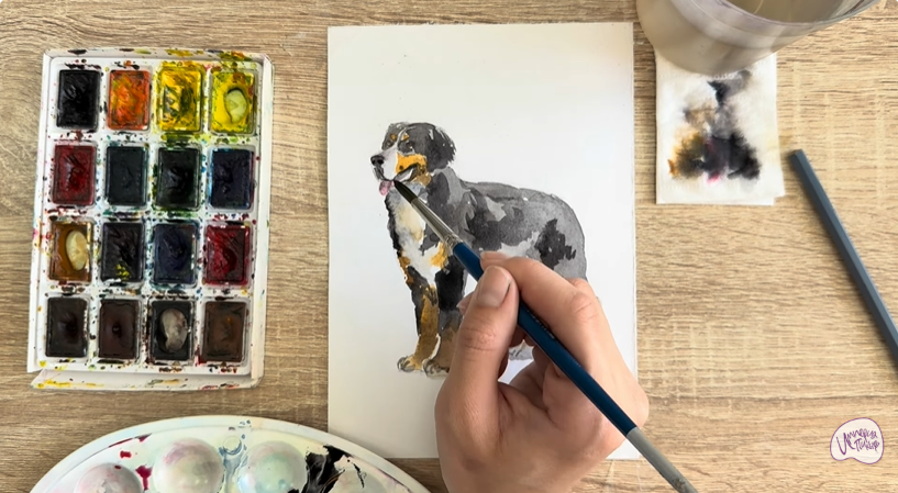 Рисуем Собака породы Бернский зенненхунд