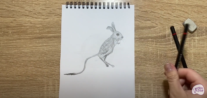 Рисуем Тушканчик