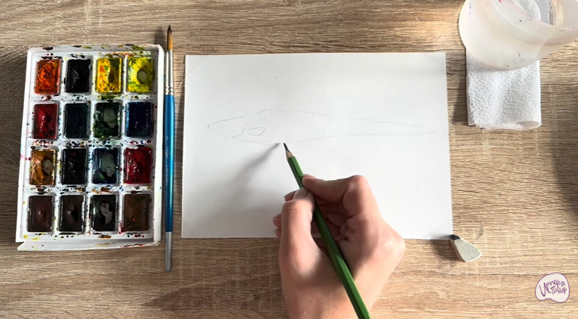 Рисуем Конгрио