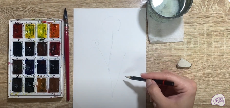 Рисуем Цветок "Скабиоза"