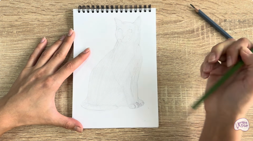 Рисуем Бурманский кот