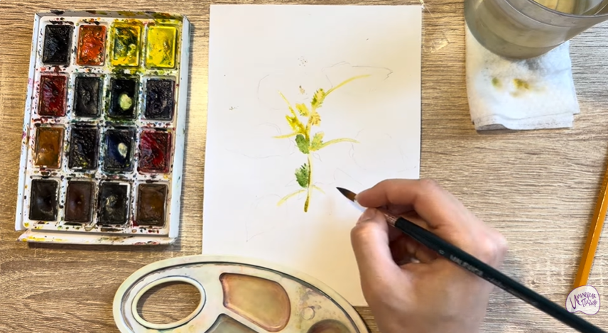 Рисуем Дурнишник