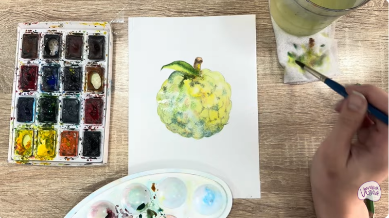 Рисуем Сахарное яблоко