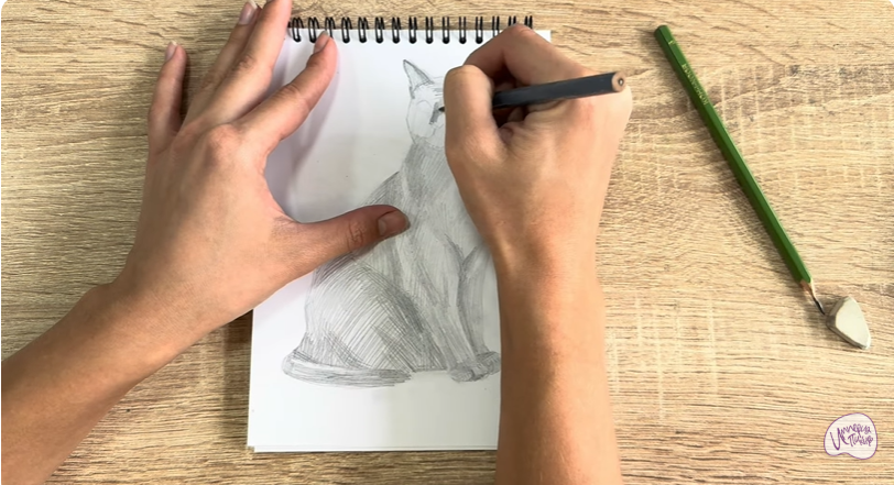 Рисуем Бурманский кот