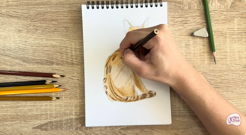 Рисуем Кошка Тойгер