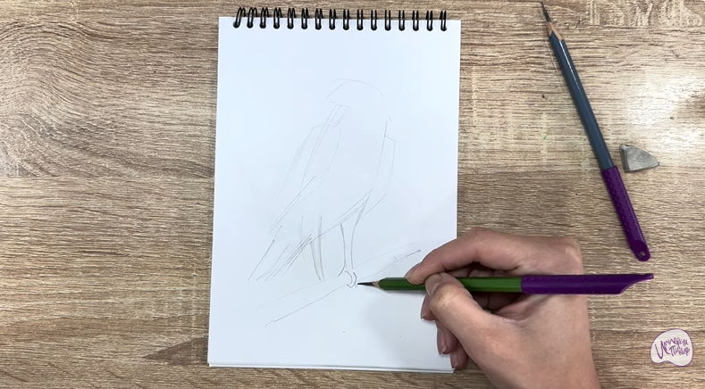 Рисуем Хохлатый осоед