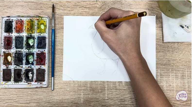 Рисуем Краснозобая казарка