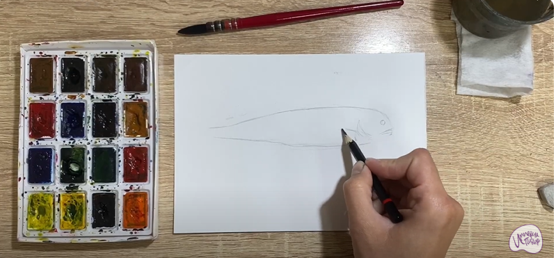 Рисуем Зубатка пёстрая