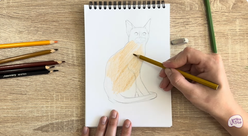 Рисуем Кошка Тойгер