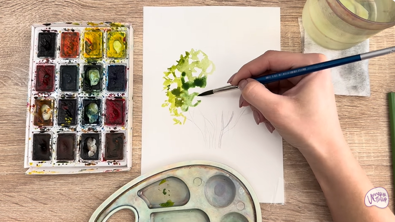 Рисуем Саженец бирючины