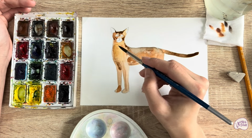 Рисуем Кошка "Чаузи"