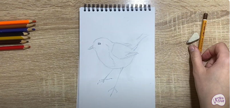 Рисуем Птичка "Зарянка"