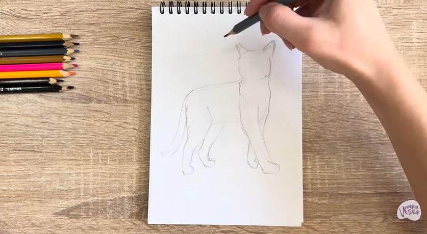 Рисуем Кошка Бурмилла