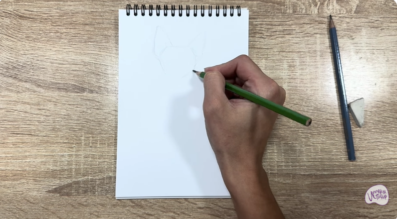 Рисуем Девон Рекс