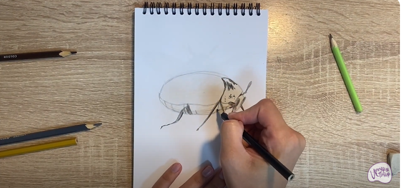 Рисуем Кожеед