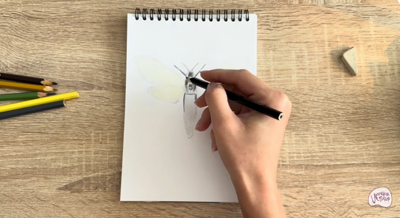 Рисуем Древесница въедливая