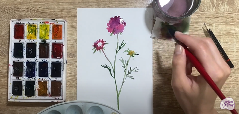 Рисуем Цветок "Скабиоза"