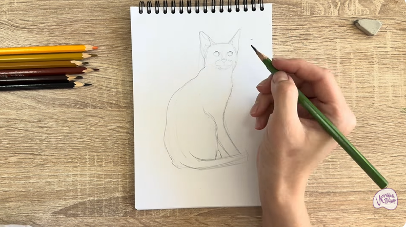 Рисуем Кошка Тойгер