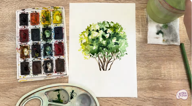 Рисуем Саженец бирючины