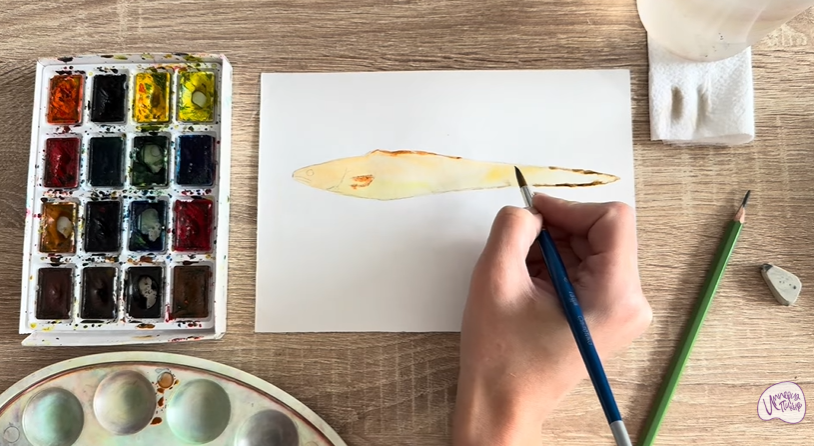 Рисуем Конгрио