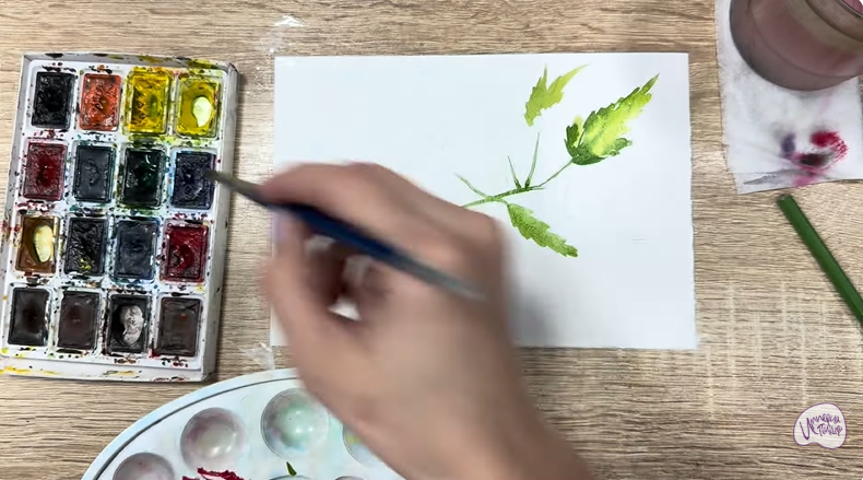 Рисуем Таволга