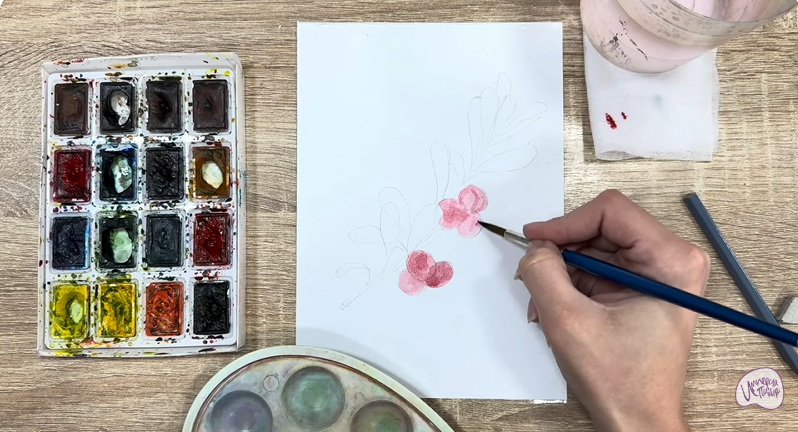 Рисуем Толокнянка