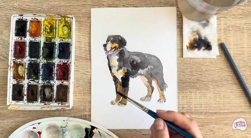 Рисуем Собака породы Бернский зенненхунд