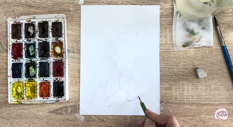 Рисуем Обыкновенная гага