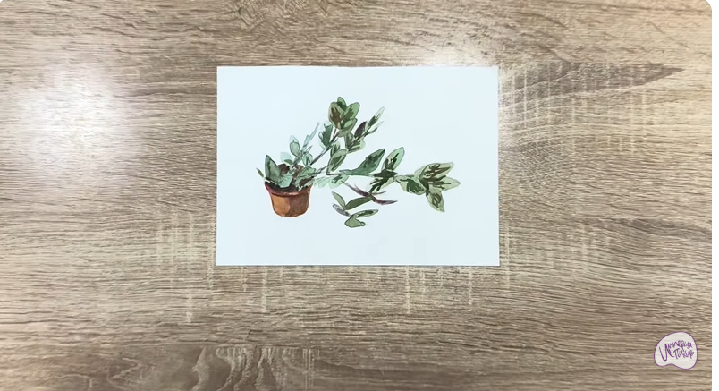 Рисуем Пеллиония в горшке