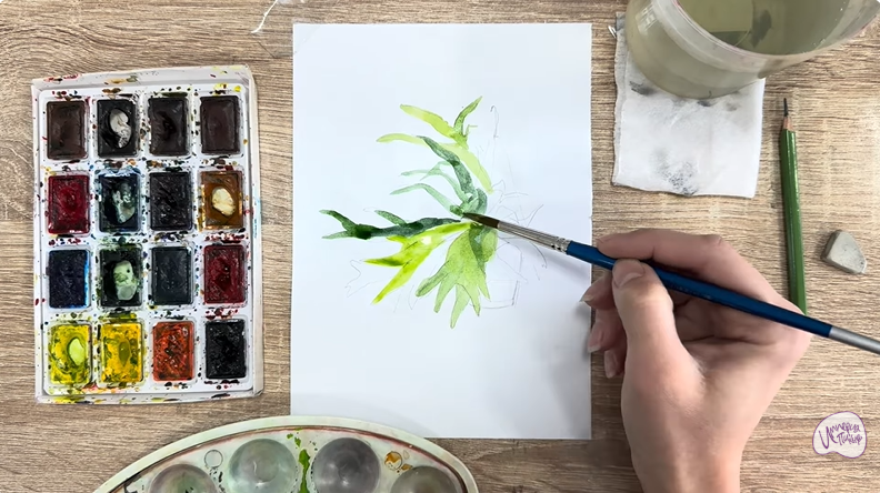 Рисуем Платицериум в горшке