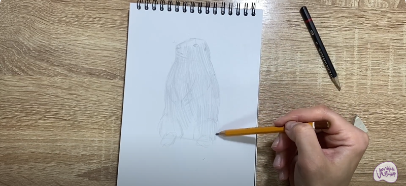 Рисуем Суслик