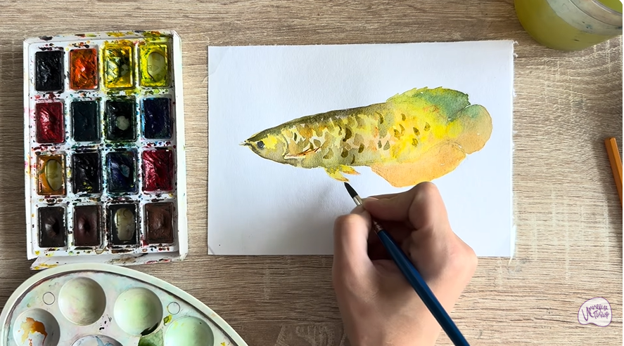 Рисуем Аравана