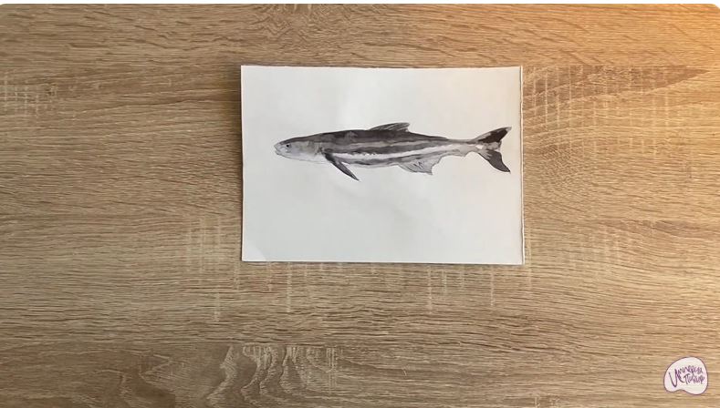 Рисуем Кобия