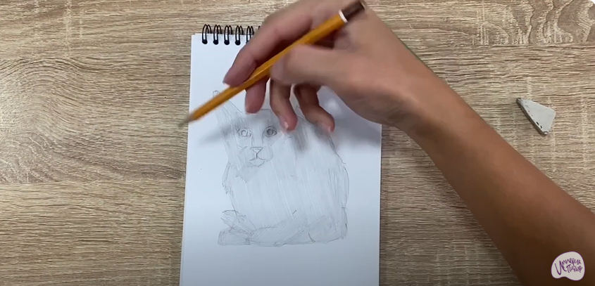 Рисуем Балинезийская кошка