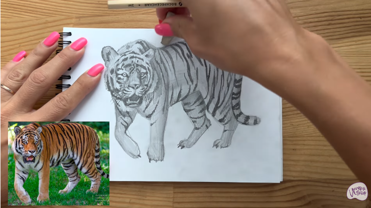 Рисуем Тигр
