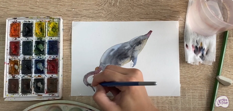 Рисуем Выхухоль