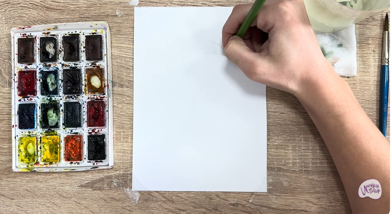 Рисуем Обыкновенная гага