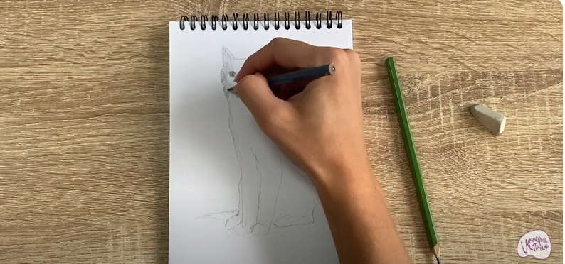 Рисуем Турецкая ангора