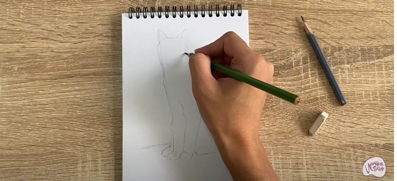 Рисуем Турецкая ангора