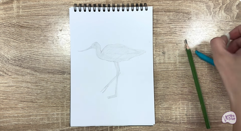 Рисуем Шилоклювка